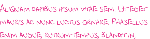 Aliquam dapibus ipsum vitae sem. Ut eget  mauris ac nunc luctus ornare. Phasellus  enim augue, rutrum tempus, blandit in,